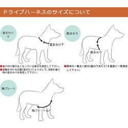 ヨドバシ.com - イージードッグ EZYDOG ハーネス L グレイ 通販