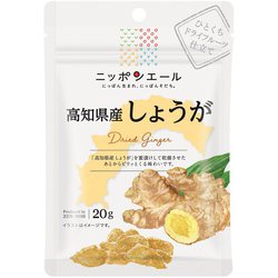 ニッポンエール 高知県産しょうが ひとくちドライフルーツ仕立て 20ｇ