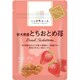 ニッポンエール 栃木県産とちおとめ苺 ひとくちドライフルーツ 17g