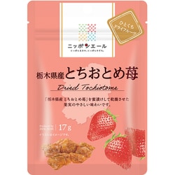 ニッポンエール 栃木県産とちおとめ苺 ひとくちドライフルーツ 17g