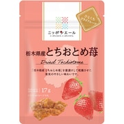 ニッポンエール 栃木県産とちおとめ苺 ひとくちドライフルーツ 17g