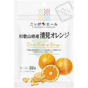 ニッポンエール 和歌山県産清見オレンジ ひとくちドライフルーツ 22g