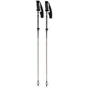 LC-FS/BK 13000319F 95-120cm 2本セット [スキー ストック 伸縮式]
