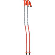 RD 16 GS PRO OZ30122 120cm 2本セット [スキー ストック レーシング]