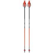 RD 13 CARBON OZ30423 110cm [スキー ストック]