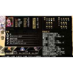 「東方蒼神縁起V」＆「東方幻想魔録W」ダブルパック 限定版 Switch ソフト ?id=26958&field=0&pattern=3