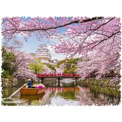 木製フィギュアパズル サクラ（桜） Sサイズ [ジグソーパズル]