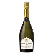 ヴィティス・ノストラ 750ml イタリア/ヴェネト州 [白ワイン]