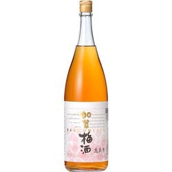 加賀梅酒 14度 1800ml [梅酒]