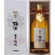 加賀梅酒 五年熟成 15度 720ml [梅酒]
