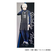 TGBL-1005-SEISHIRO ブルーロック 特大タペストリー 凪 誠士郎 [キャラクターグッズ]