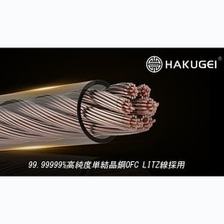 ヨドバシ.com - ハクゲイ HAKUGEI Healer 0.78 2Pin 4.4mm [リケーブル 