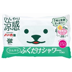 ボディシート からだ用 ひんやりふくだけシャワー 北見ハッカの香り 10枚入