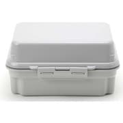 0101-0189 [ランチボックス 保冷剤一体型 plus deli 2段 オイスターグレー]