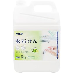 カネヨ 水石けん