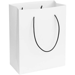 ゴミ箱 12L ショッパーダストバッグ Lサイズ ホワイト