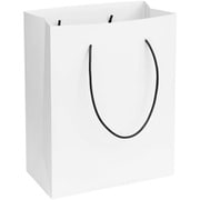 ゴミ箱 12L ショッパーダストバッグ Lサイズ ホワイト