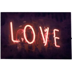 LEDキャンバスアート インダストリアル ネオンサイン 20×30cm 30×20cm ネオンサイン LCA-M-NS