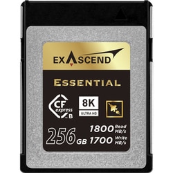 Essential CFexpress Type B 256GB EXPC3E256GB