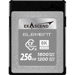 ヨドバシ.com - エクサセンド EXASCEND EXPC3S256GB [Element ...