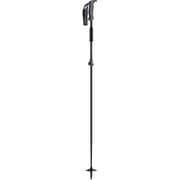 STRAWBERRYFIELD BC KPBC-IC01 TQ 95-125cm 2本セット [スキー ストック 伸縮式]