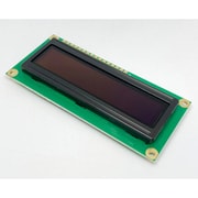 WEH001602ABPP5N00100 [OLEDモジュール 16文字×2行 青文字]