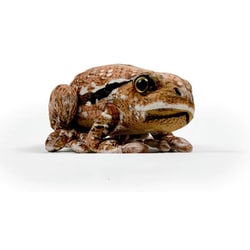 ヨドバシ.com - ワイルドグラフィ WILD GRAPHY SA029 [ワイルド