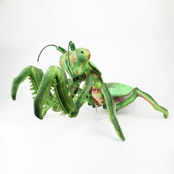 ヨドバシ.com - ワイルドグラフィ WILD GRAPHY SA052 [ワイルド