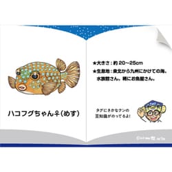 ヨドバシ.com - ワイルドグラフィ WILD GRAPHY SK003 [ワイルド