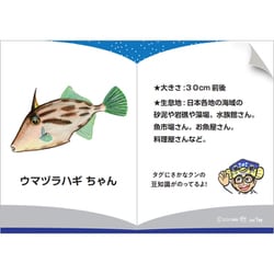 タカノハダイ - ギョギョッとサカナ☆スター - NHK