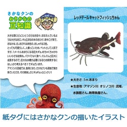 ヨドバシ.com - ワイルドグラフィ WILD GRAPHY SK017 [ワイルド ヨドバシ.com - ワイルドグラフィ WILD GRAPHY SK017 [ワイルド