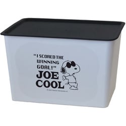 SNOOPY's Door Story | 玩具卸売 カワダオンライン