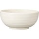 麺鉢 18.5cm つむぎ プラスチック ブルー