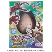 カブトムシ・クワガタと仲間たちの卵 1個 [コレクショントイ]