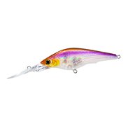 ハードコア シャッドSR 60SF 05 GSWS