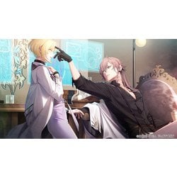 【即日発送】終遠のヴィルシュ 本編 FD 2本セット　switch 終遠のヴィルシュ FD 2枚セット