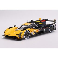 ヨドバシ.com - トップスピード TS0482 1/18 キャデラック V-LMDh GTP