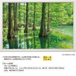 やのまん 1000ピース 新春ジグゾーパズル パネルセット 霊峰飛鶴 Amazon | YANOMAN やのまん 1000ピース 新春 ジグゾーパズル