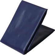 IRO1BLUES [萩原 ターピー 軽トラックシート 彩り 1号 軽トラック ブルー 1.9m×2.1m]