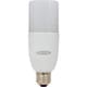 LFC-15W-50K [日動 LED電球15W フロスト]