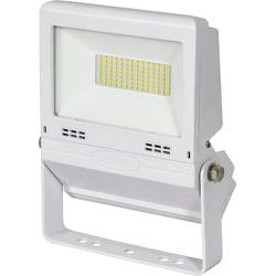 LJS-FH30D-W-25K [日動 フラットライト30W 常設用 白 電球色]