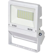LJS-FH50D-W-25K [日動 フラットライト50W 常設用 白 電球色]