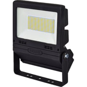 LJS-FH70D-BK-25K [日動 フラットライト70W 常設用 黒 電球色]