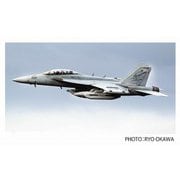 TPA-29 1/48 アメリカ海軍 電子戦機 EA-18G グラウラー VAQ-131 ランサーズ 2020 ロービジ [組立式プラスチックモデル]