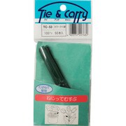 TC-053 [WAKI カラータイ TC-053 100mm ミドリ 50本入り]