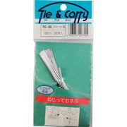 TC-055 [WAKI カラータイ TC-055 100mm ギン 30本入り]