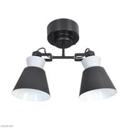 BONIS ボニス 2灯シーリングスポットライト 電球別売 LC11013-BK