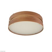 WOOP Plus ウーププラス Wi‐Fi対応LEDシーリングライト LC10982-S-BR