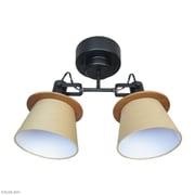 FIRDER フィルダー 2灯シーリングスポットライト 電球別売/LED専用 LC10989-BKBE