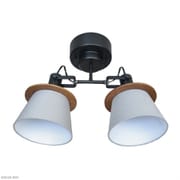 FIRDER フィルダー 2灯シーリングスポットライト 電球別売/LED専用 LC10989-BKGY